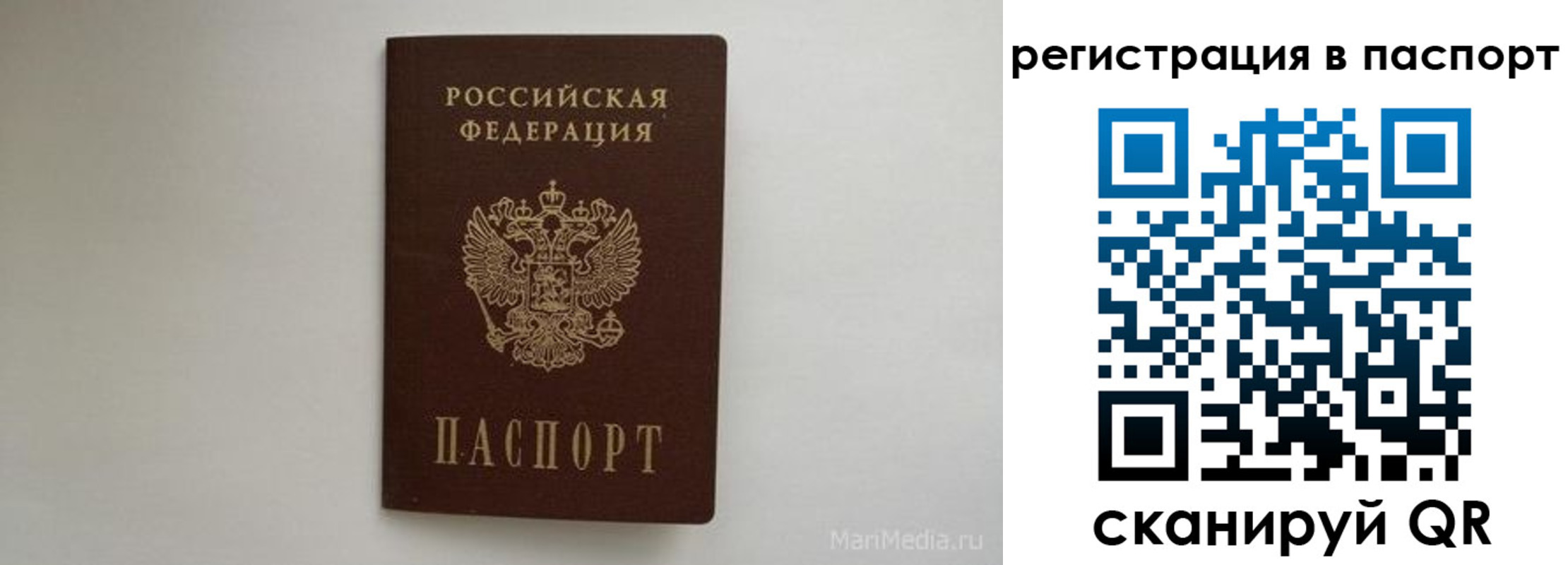 прописка в Кольчугино